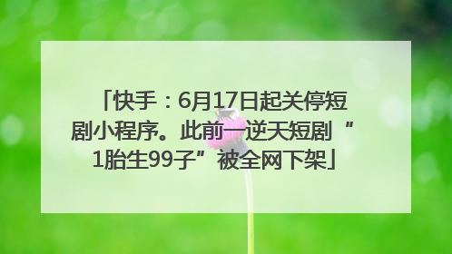 快手：6月17日起关停短剧小程序。此前一逆天短剧“1胎生99子”被全网下架