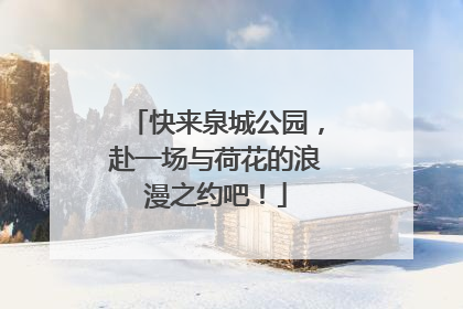 快来泉城公园，赴一场与荷花的浪漫之约吧！