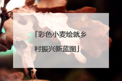 彩色小麦绘就乡村振兴新蓝图