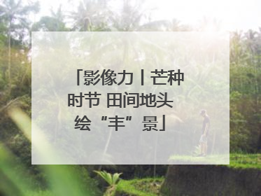 影像力丨芒种时节 田间地头绘“丰”景