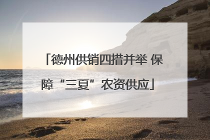 德州供销四措并举 保障“三夏”农资供应