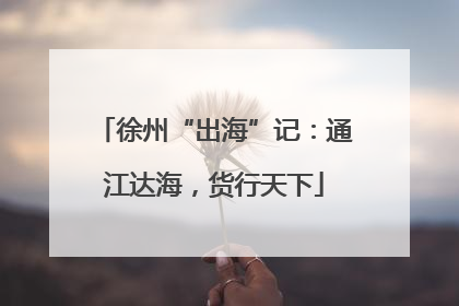 徐州“出海”记：通江达海，货行天下