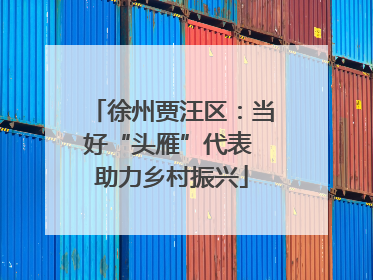 徐州贾汪区：当好“头雁”代表 助力乡村振兴