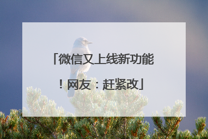 微信又上线新功能！网友：赶紧改