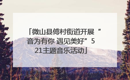 微山县傅村街道开展“音为有你 遇见美好”521主题音乐活动