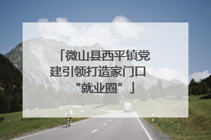 微山县西平镇党建引领打造家门口“就业圈”