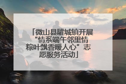 微山县驩城镇开展“情系端午邻里情 粽叶飘香暖人心”志愿服务活动