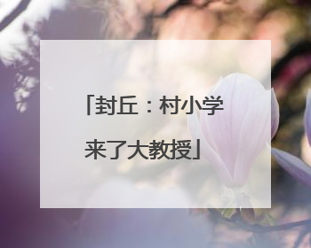 封丘：村小学来了大教授