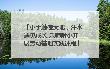 小手触碰大地，汗水遇见成长 乐师附小开展劳动基地实践课程