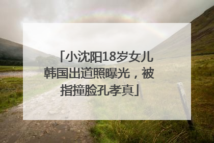 小沈阳18岁女儿韩国出道照曝光，被指撞脸孔孝真