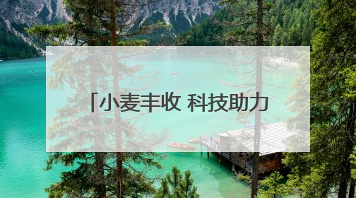 小麦丰收 科技助力 非遗也来凑热闹