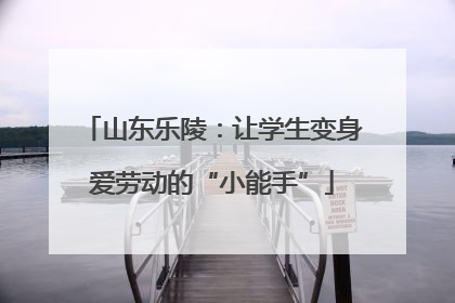 山东乐陵：让学生变身爱劳动的“小能手”