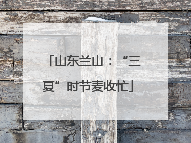 山东兰山：“三夏”时节麦收忙