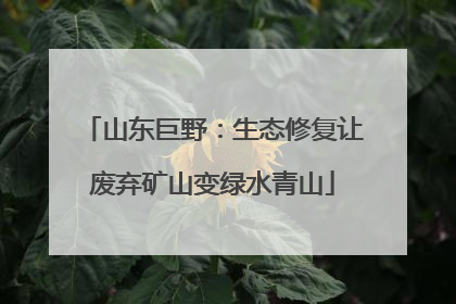 山东巨野：生态修复让废弃矿山变绿水青山