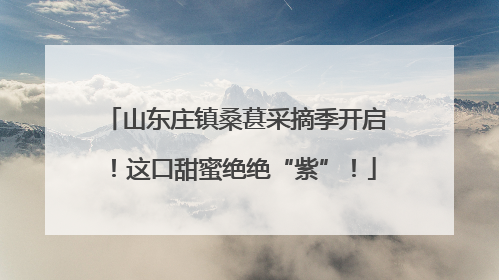 山东庄镇桑葚采摘季开启！这口甜蜜绝绝“紫”！