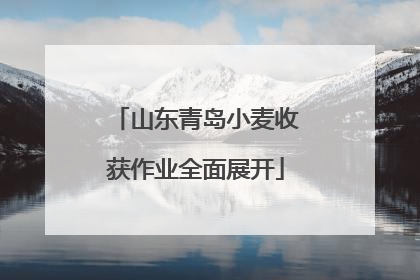 山东青岛小麦收获作业全面展开
