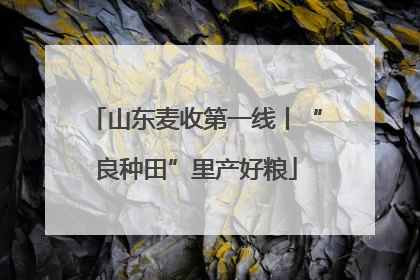 山东麦收第一线丨“良种田”里产好粮