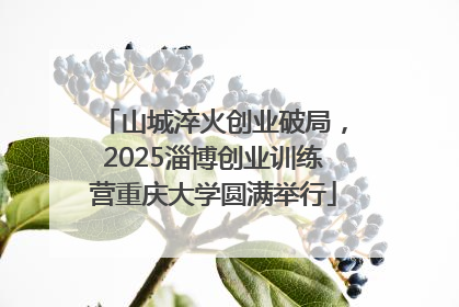 山城淬火创业破局，2025淄博创业训练营重庆大学圆满举行