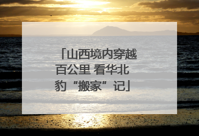 山西境内穿越百公里 看华北豹“搬家”记