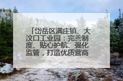 岱岳区满庄镇、大汶口工业园：完善制度、贴心护航、强化监管，打造优质营商“强磁场”