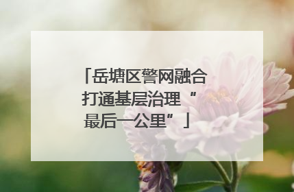 岳塘区警网融合 打通基层治理“最后一公里”