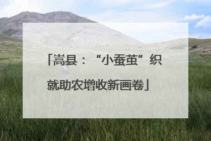 嵩县：“小蚕茧”织就助农增收新画卷