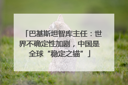 巴基斯坦智库主任：世界不确定性加剧，中国是全球“稳定之锚”