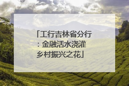 工行吉林省分行：金融活水浇灌 乡村振兴之花