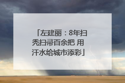 左建丽：8年扫秃扫帚百余把 用汗水给城市添彩