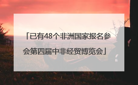 已有48个非洲国家报名参会第四届中非经贸博览会