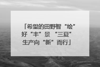 希望的田野智“绘”好“丰”景 “三夏”生产向“新”而行
