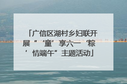 广信区湖村乡妇联开展“‘童’享六一‘粽’情端午”主题活动