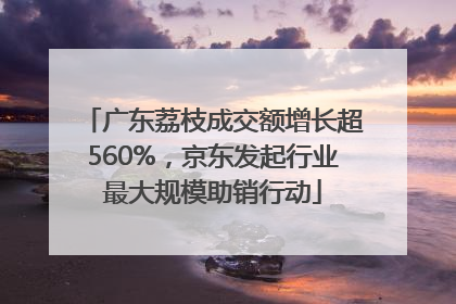 广东荔枝成交额增长超560%，京东发起行业最大规模助销行动