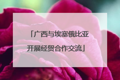 广西与埃塞俄比亚开展经贸合作交流