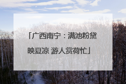 广西南宁：满池粉黛映夏凉 游人赏荷忙