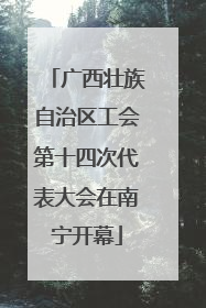 广西壮族自治区工会第十四次代表大会在南宁开幕