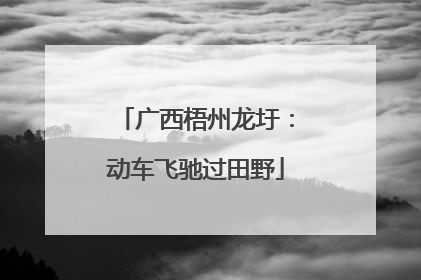 广西梧州龙圩：动车飞驰过田野