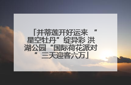 并蒂莲开好运来 “星空牡丹”绽异彩 洪湖公园“国际荷花派对”三天迎客六万