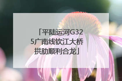 平陆运河G325广南线钦江大桥拱肋顺利合龙