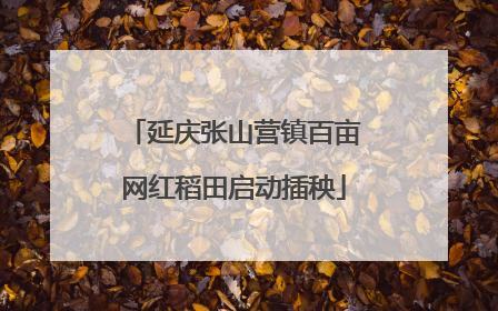 延庆张山营镇百亩网红稻田启动插秧