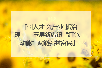 引人才 兴产业 抓治理——玉屏新店镇“红色动能”赋能强村富民