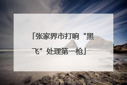 张家界市打响“黑飞”处理第一枪