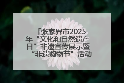 张家界市2025年“文化和自然遗产日”非遗宣传展示暨“非遗购物节”活动在慈利县盛大启幕