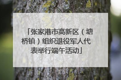 张家港市高新区（塘桥镇）组织退役军人代表举行端午活动