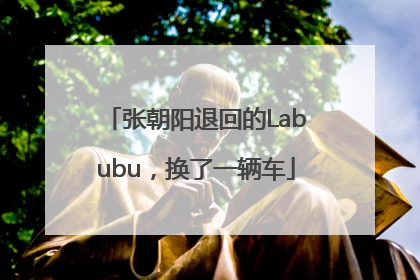 张朝阳退回的Labubu，换了一辆车