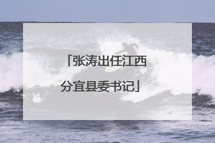 张涛出任江西分宜县委书记