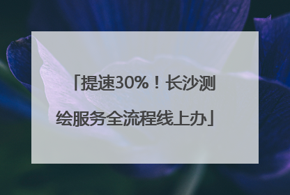提速30%！长沙测绘服务全流程线上办