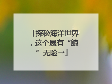 探秘海洋世界，这个展有“鲸”无险→