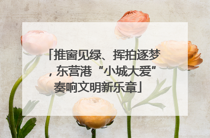 推窗见绿、挥拍逐梦，东营港“小城大爱”奏响文明新乐章