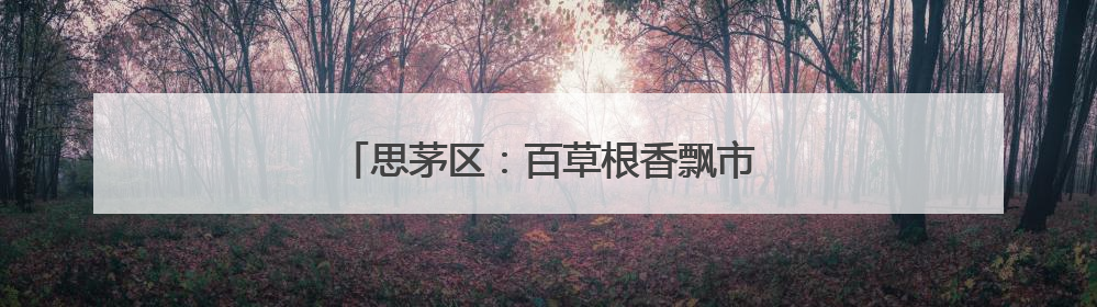 思茅区：百草根香飘市集 养生汤里话安康